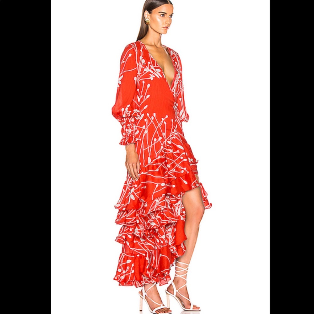 ALEXIS - Rodina dress - Picture 2 of 7